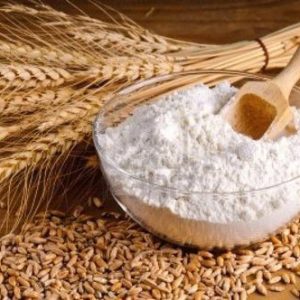 Wheat Flour (Organic)