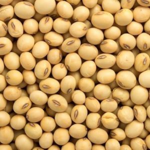 Soya Bean (Organic)